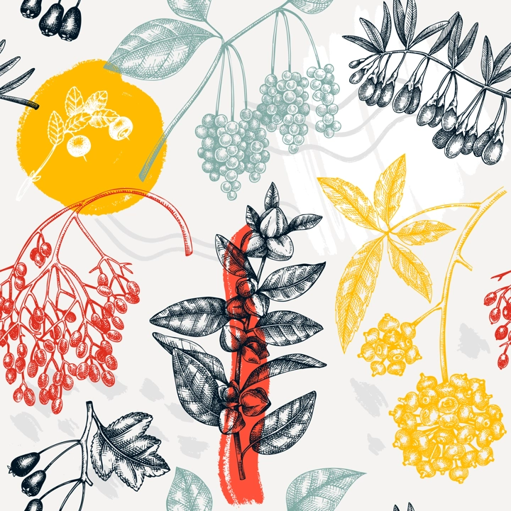 Collage style botanical background. Hand-sketched medicinal herbs, weeds, berries, leaves backdrop. Perfect for brands, label, packaging wrapping. Adaptogenic plants seamless pattern